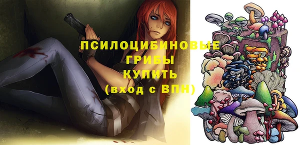 первитин Богородицк