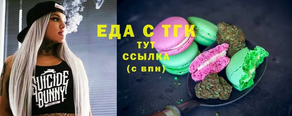 хмурый Бородино