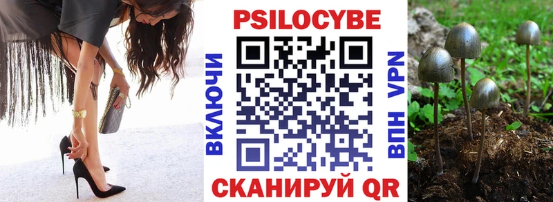Псилоцибиновые грибы MAGIC MUSHROOMS  кракен маркетплейс  Балахна 
